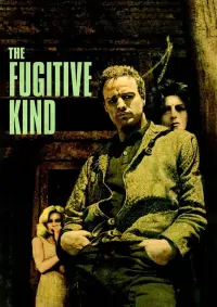 Poster to the movie "The Fugitive Kind" #159489