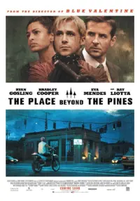 Poster to the movie "The Place Beyond the Pines" #249898