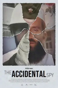 Poster to the movie "The Accidental Spy" #579823