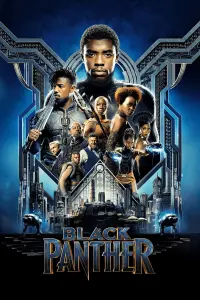 Poster to the movie "Black Panther" #542978