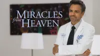 Backdrop to the movie "Miracles from Heaven" #52175