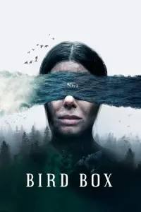 Poster to the movie "Bird Box" #258461