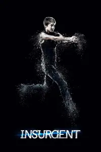 Poster to the movie "Insurgent" #28492