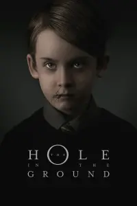 Poster to the movie "The Hole in the Ground" #135682