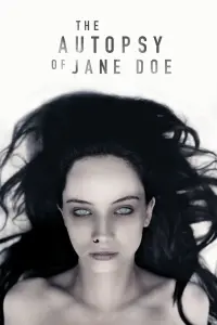 Poster to the movie "The Autopsy of Jane Doe" #69859