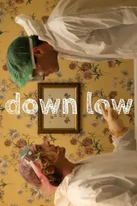 Poster to the movie "Down Low" #103889