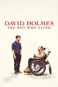 Poster to the movie "David Holmes: The Boy Who Lived" #106481