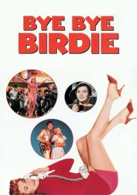 Poster to the movie "Bye Bye Birdie" #157887