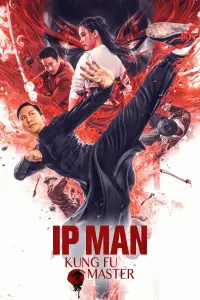 Poster to the movie "Ip Man" #132517