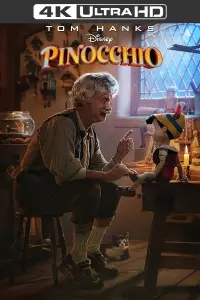 Poster to the movie "Pinocchio" #59572