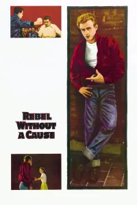 Poster to the movie "Rebel Without a Cause" #209271