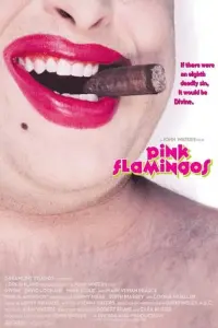 Poster to the movie "Pink Flamingos" #296582