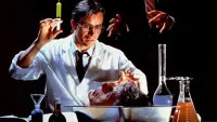 Backdrop to the movie "Re-Animator" #243936