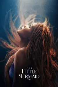 Poster to the movie "The Little Mermaid" #5607