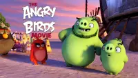 Backdrop to the movie "The Angry Birds Movie" #44879