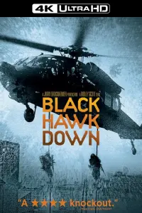 Poster to the movie "Black Hawk Down" #40638