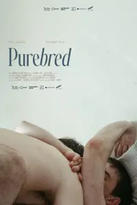 Purebred