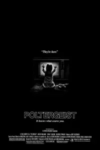 Poster to the movie "Poltergeist" #106270