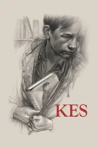 Poster to the movie "Kes" #505299