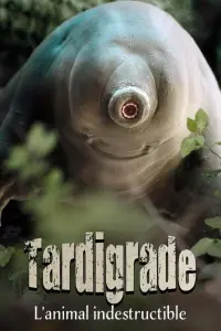 Poster to the movie "Tardigrade, l