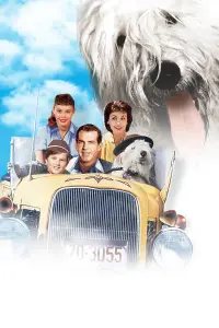 Poster to the movie "The Shaggy Dog" #435493