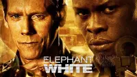 Backdrop to the movie "Elephant White" #362940