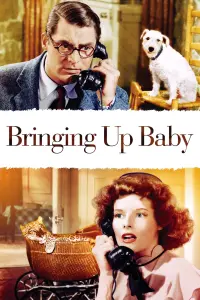 Poster to the movie "Bringing Up Baby" #208946