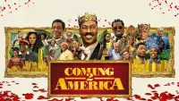 Backdrop to the movie "Coming 2 America" #287622