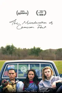 Poster to the movie "The Miseducation of Cameron Post" #151574