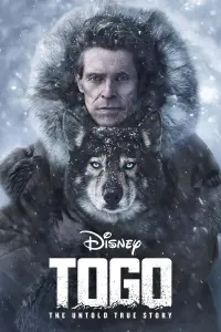 Poster to the movie "Togo" #61355