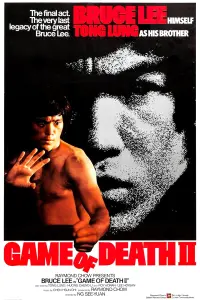 Poster to the movie "Game of Death II" #347440