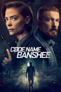 Poster to the movie "Code Name Banshee" #88030