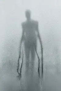 Poster to the movie "Slender Man" #444425