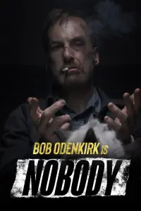 Poster to the movie "Nobody" #35860