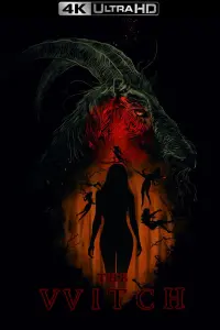 Poster to the movie "The Witch" #66188