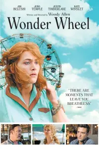 Poster to the movie "Wonder Wheel" #134188