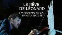 Backdrop to the movie "Le rêve de Léonard : Les secrets du vol dans la nature" #477580