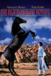 Poster to the movie "The Black Stallion Returns" #494746