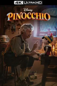 Poster to the movie "Pinocchio" #59570