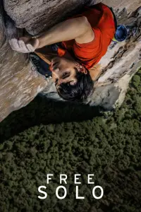 Poster to the movie "Free Solo" #379906