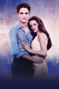 Poster to the movie "The Twilight Saga: Breaking Dawn - Part 1" #171000