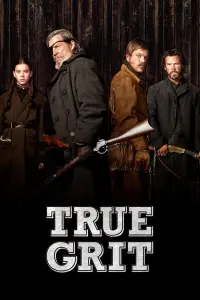 Poster to the movie "True Grit" #93863