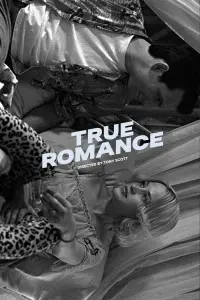 Poster to the movie "True Romance" #453984