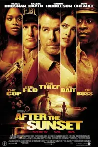 Poster to the movie "After the Sunset" #127961