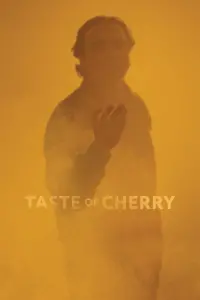 Poster to the movie "Taste of Cherry" #111978