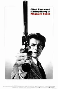 Poster to the movie "Magnum Force" #106461