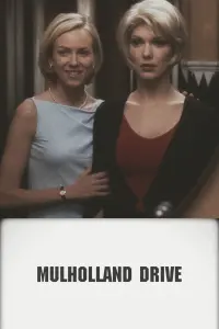 Poster to the movie "Mulholland Drive" #159981