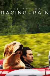 Poster to the movie "The Art of Racing in the Rain" #44048