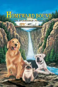 Poster to the movie "Homeward Bound: The Incredible Journey" #251069