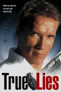 Poster to the movie "True Lies" #242854